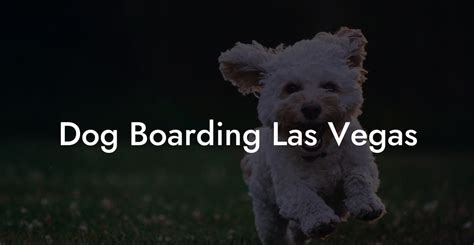 dog boarding las vegas strip.